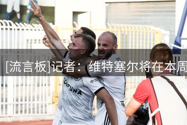 [流言板]记者：维特塞尔将在本周加盟尼斯，双方签下1+1合同